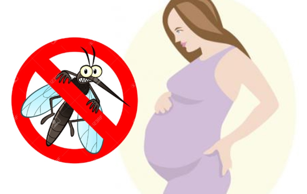 Nguyên nhân khiến mẹ bầu bị muỗi đốt Nguyên nhân khiến mẹ bầu bị muỗi đốt