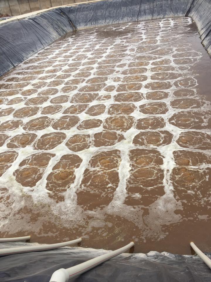 Cơ chế hoạt động của Ozone trong xử lý màu