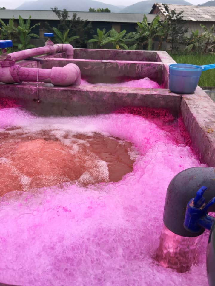 Ozone khử màu triệt để: Giải pháp ưu việt