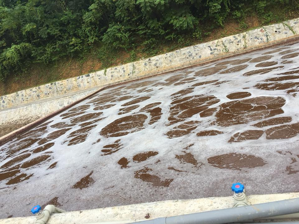 Cơ chế ozone khử màu