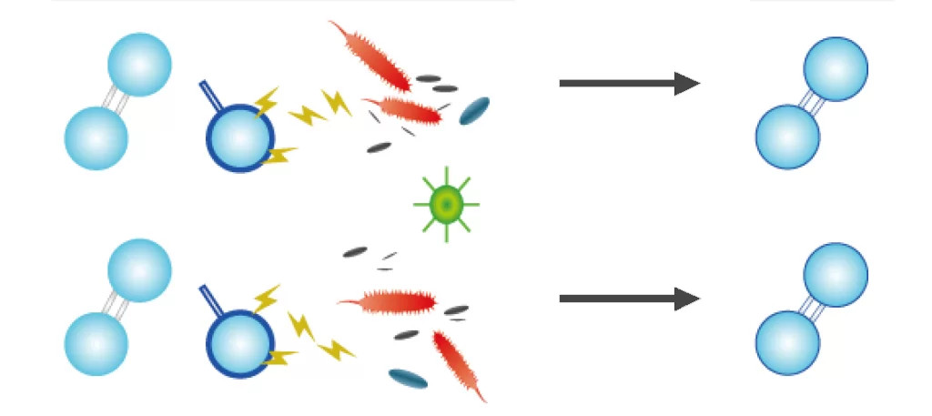 Kết quả sau quan trắc
