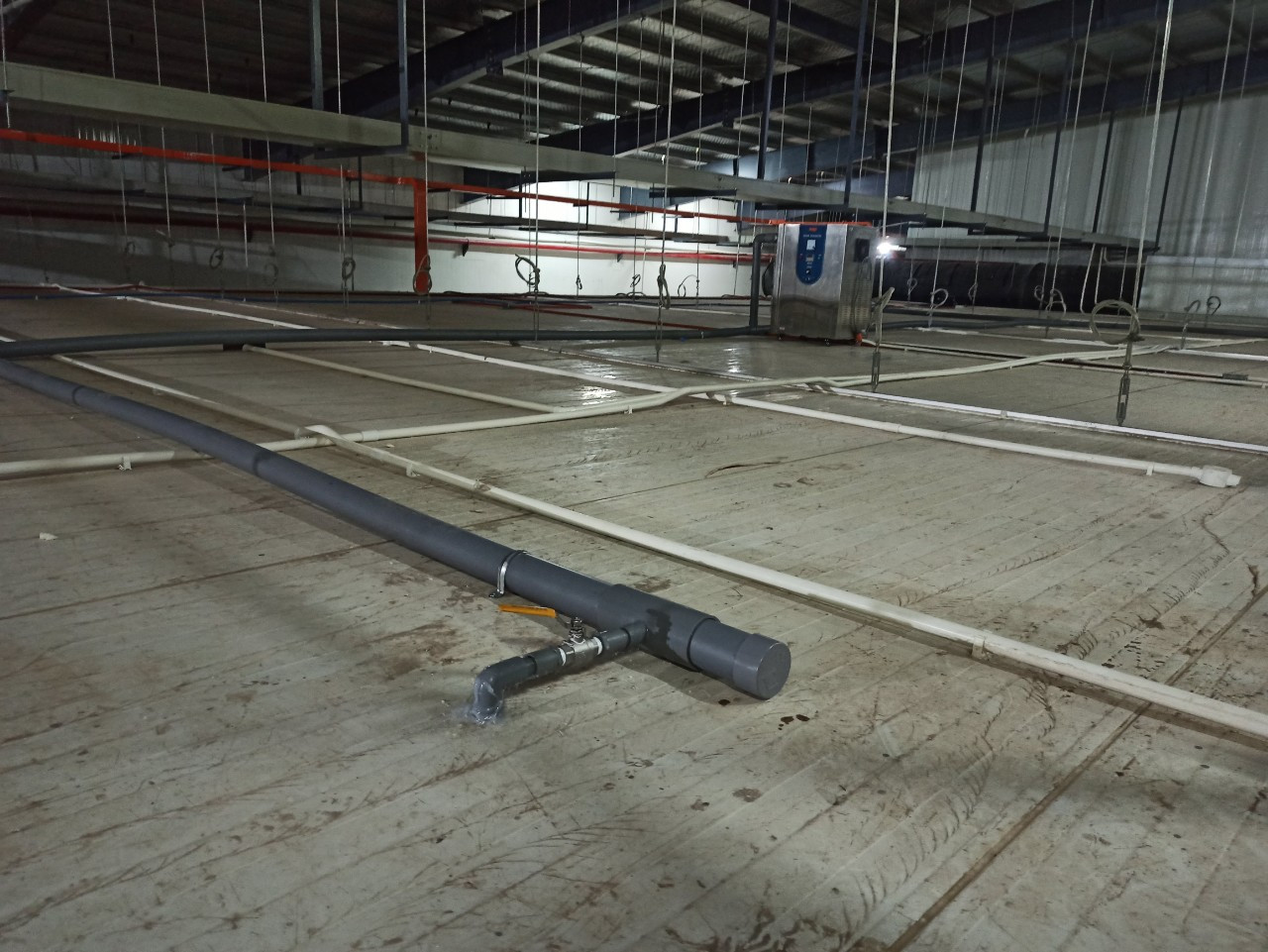 Ứng dụng thực tế: Giải pháp ozone cho nhà máy sản xuất đồ uống