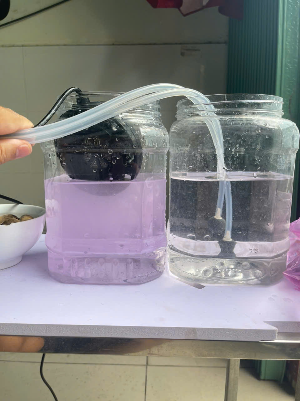 Kết quả khi dùng đúng liều