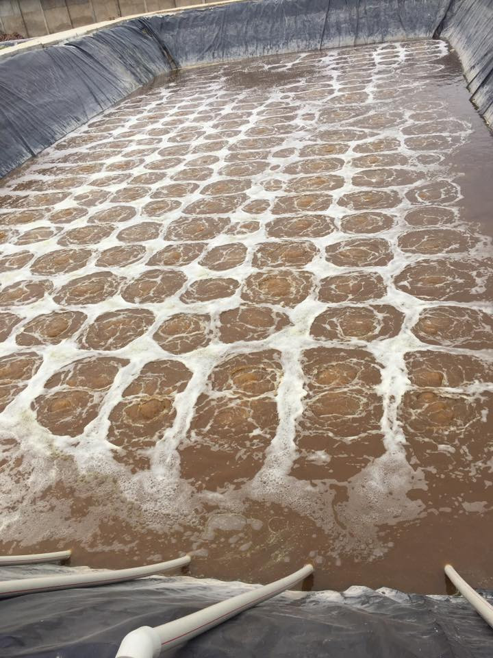 Vai trò ozone hỗ trợ