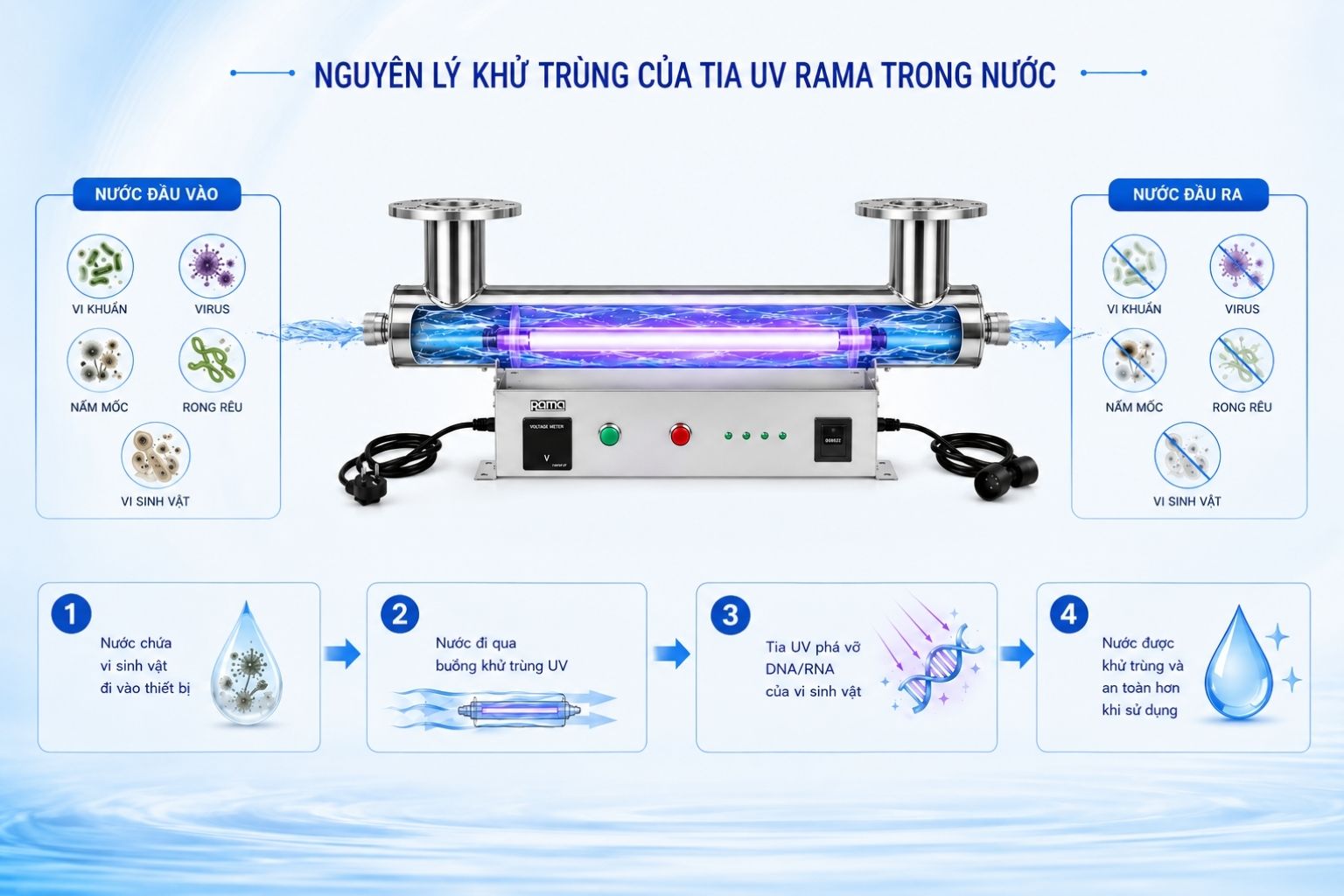 Tia UV tác động lên vi sinh vật trong nước như thế nào?